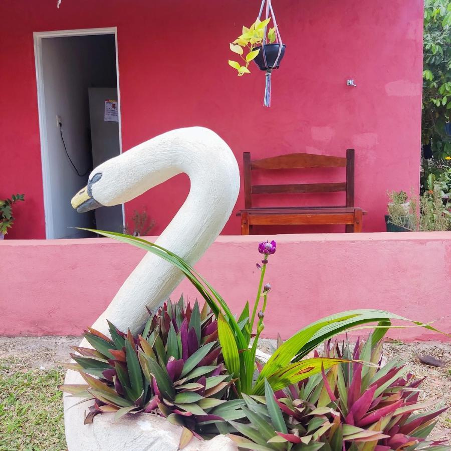 Piraputanga Espaco Slow Living Flor Do Pantanal المظهر الخارجي الصورة